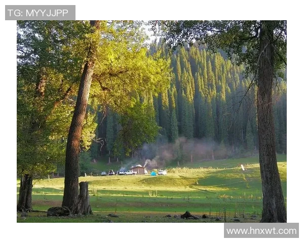 t1对阵af精彩直播全程回顾与赛后分析尽在这里